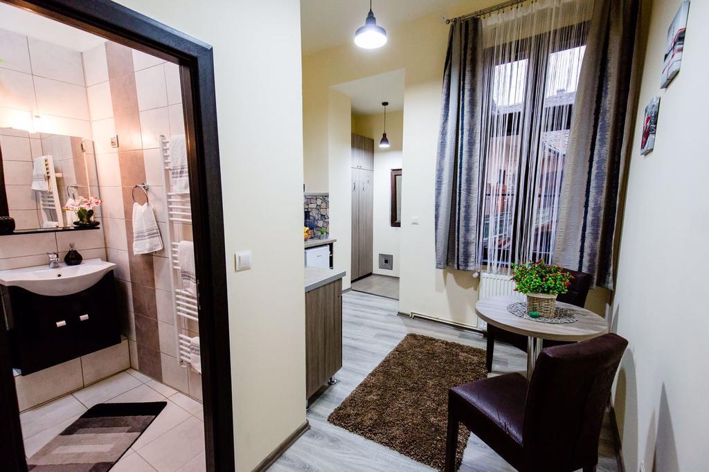 Anna Central Studio Sibiu Exterior photo
